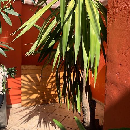 Villa Coyoacan Ciudad de México Exteriér fotografie