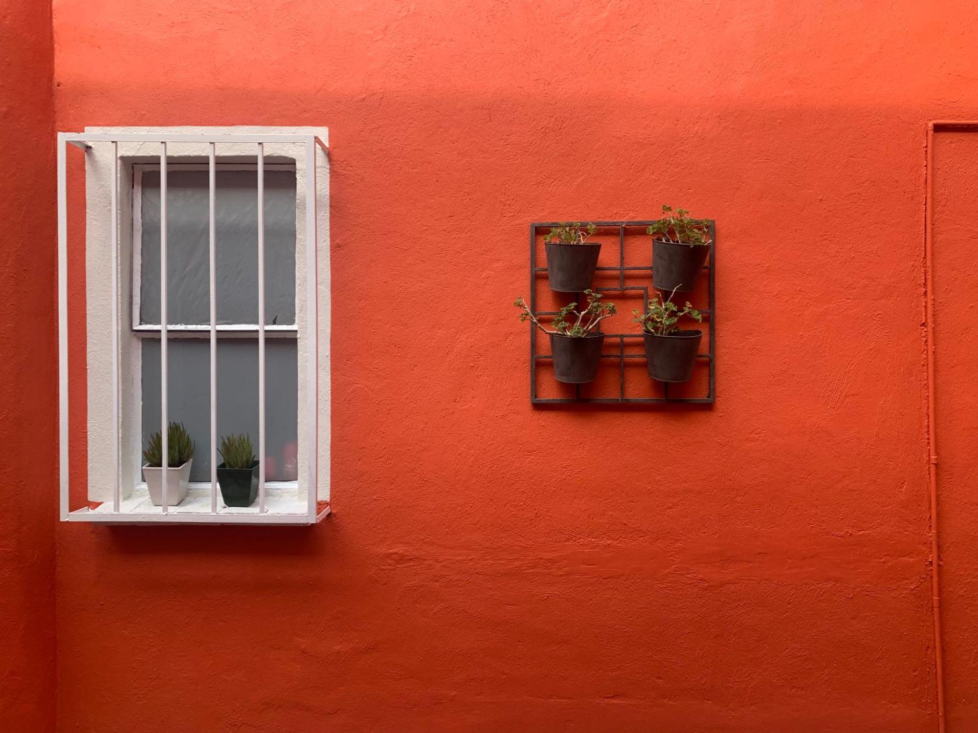 Villa Coyoacan Ciudad de México Exteriér fotografie