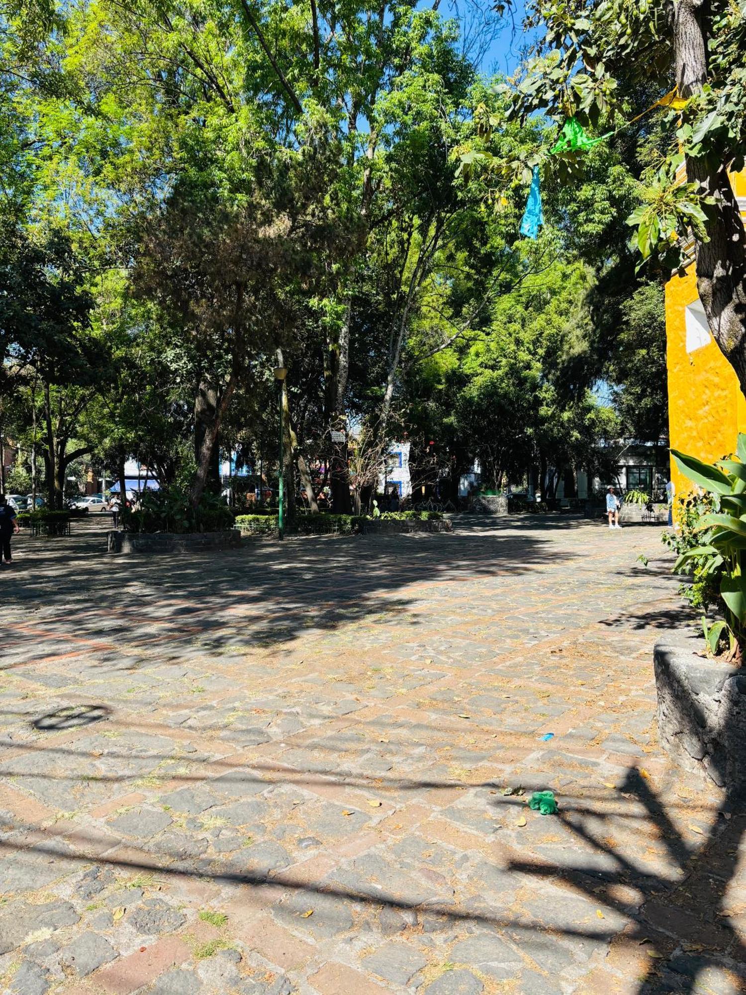 Villa Coyoacan Ciudad de México Exteriér fotografie